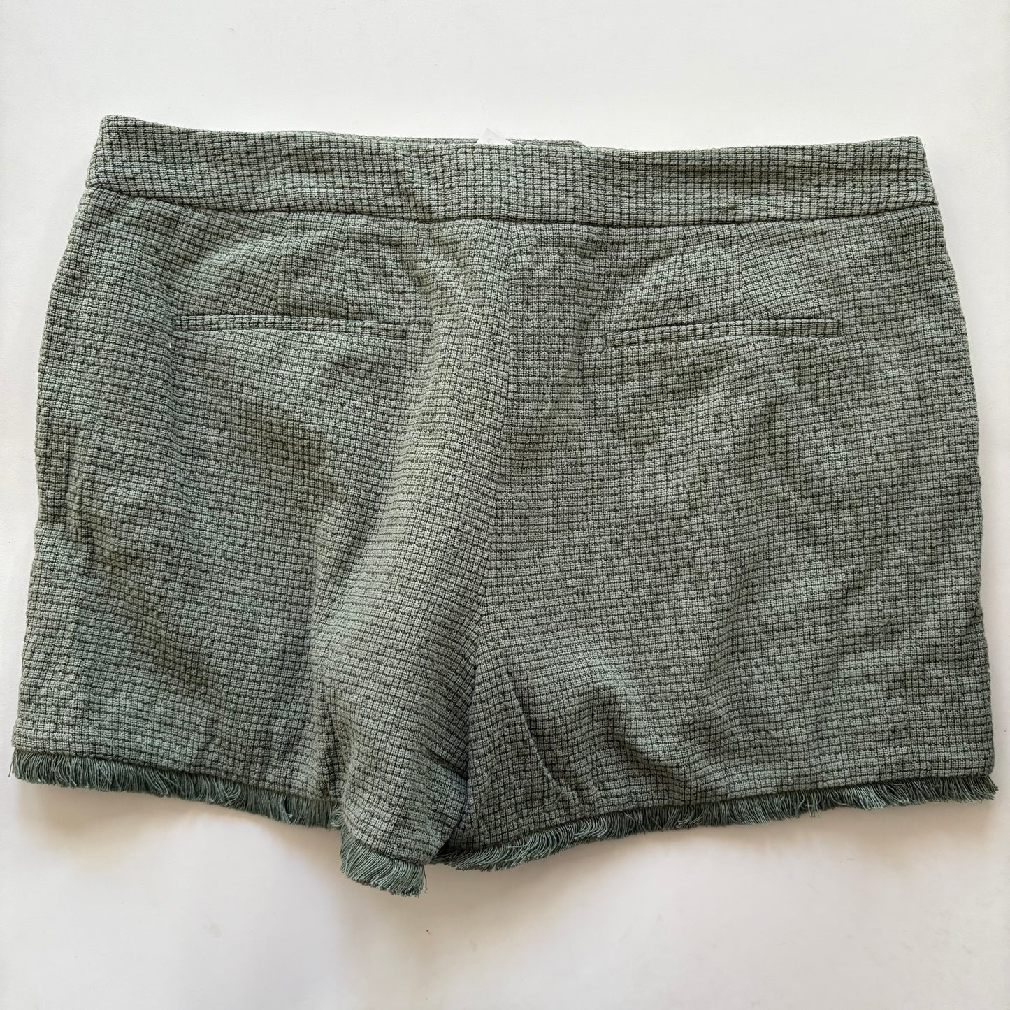 Shorts By Kaari Blue Size: 16