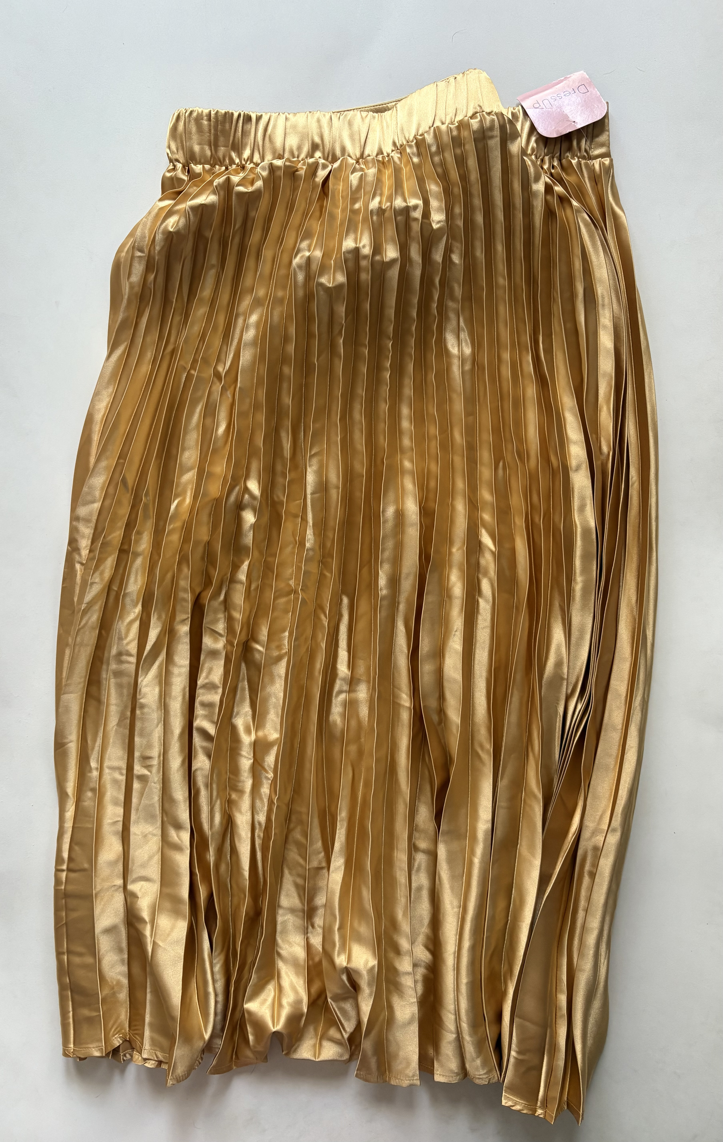 Skirt Maxi By Hudson Size: L