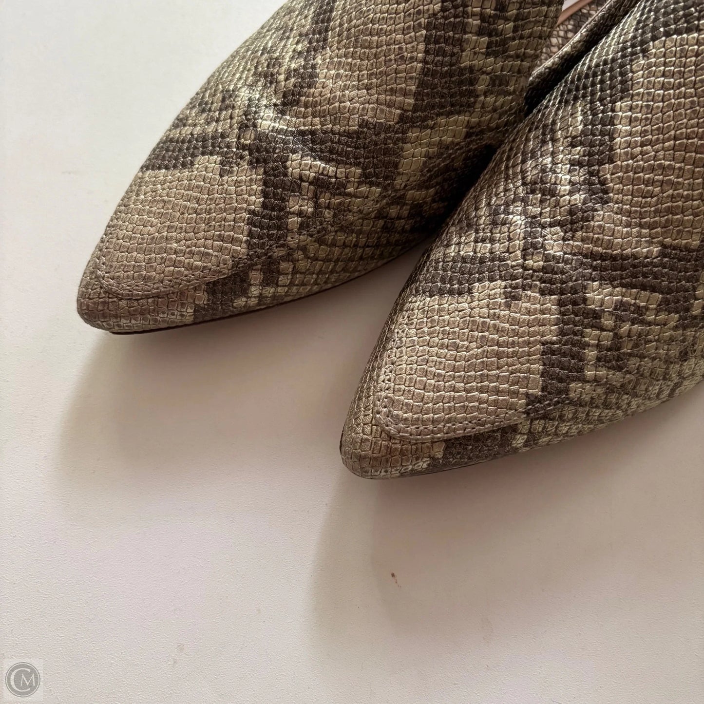 Shoes Flats By 27 Edit In Animal Print, Size: 9.5