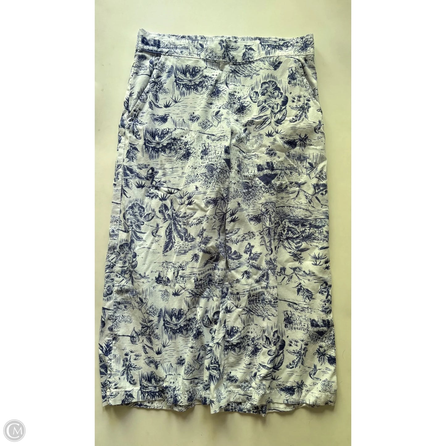 Pants Chinos & Khakis By Dash In Blue, Size: 8