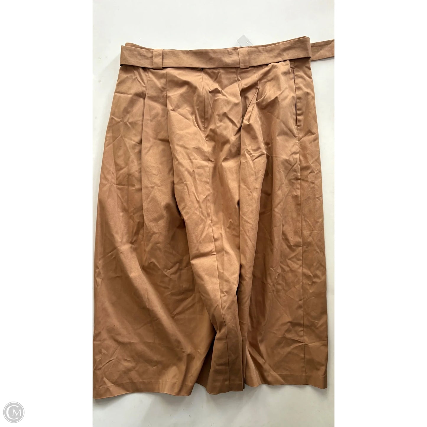Skirt Maxi By Worthington In Brown, Size: 16