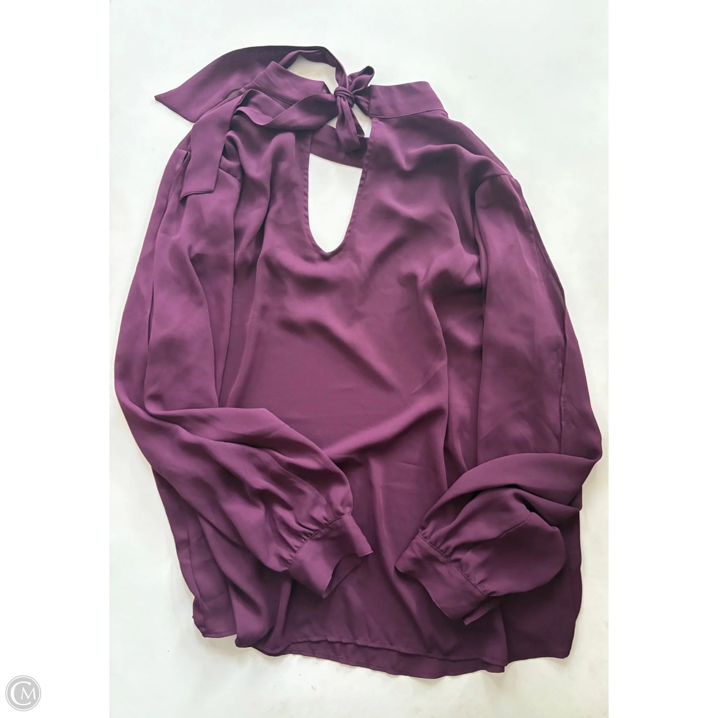 Blouse Long Sleeve By Torrid In Maroon, Size: 1x