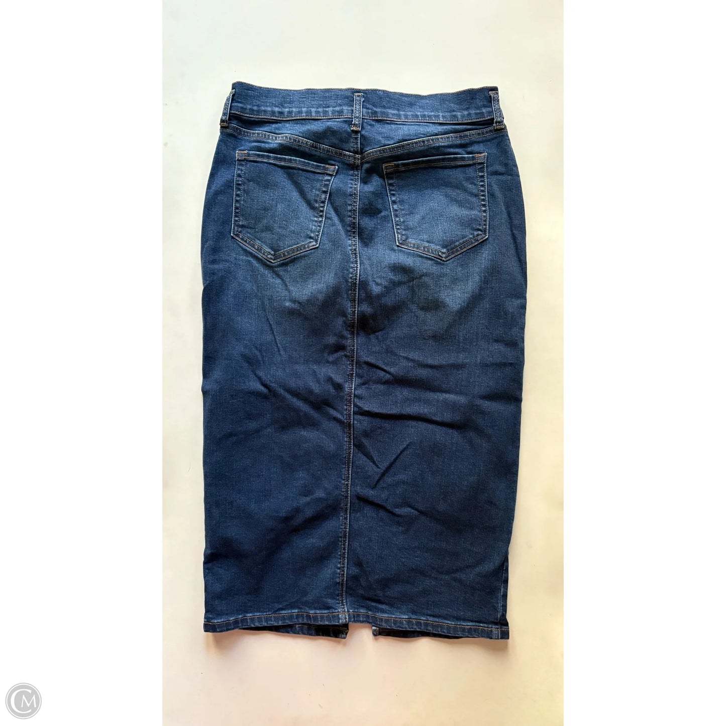 Skirt Maxi By Divine Rights In Blue, Size: 12