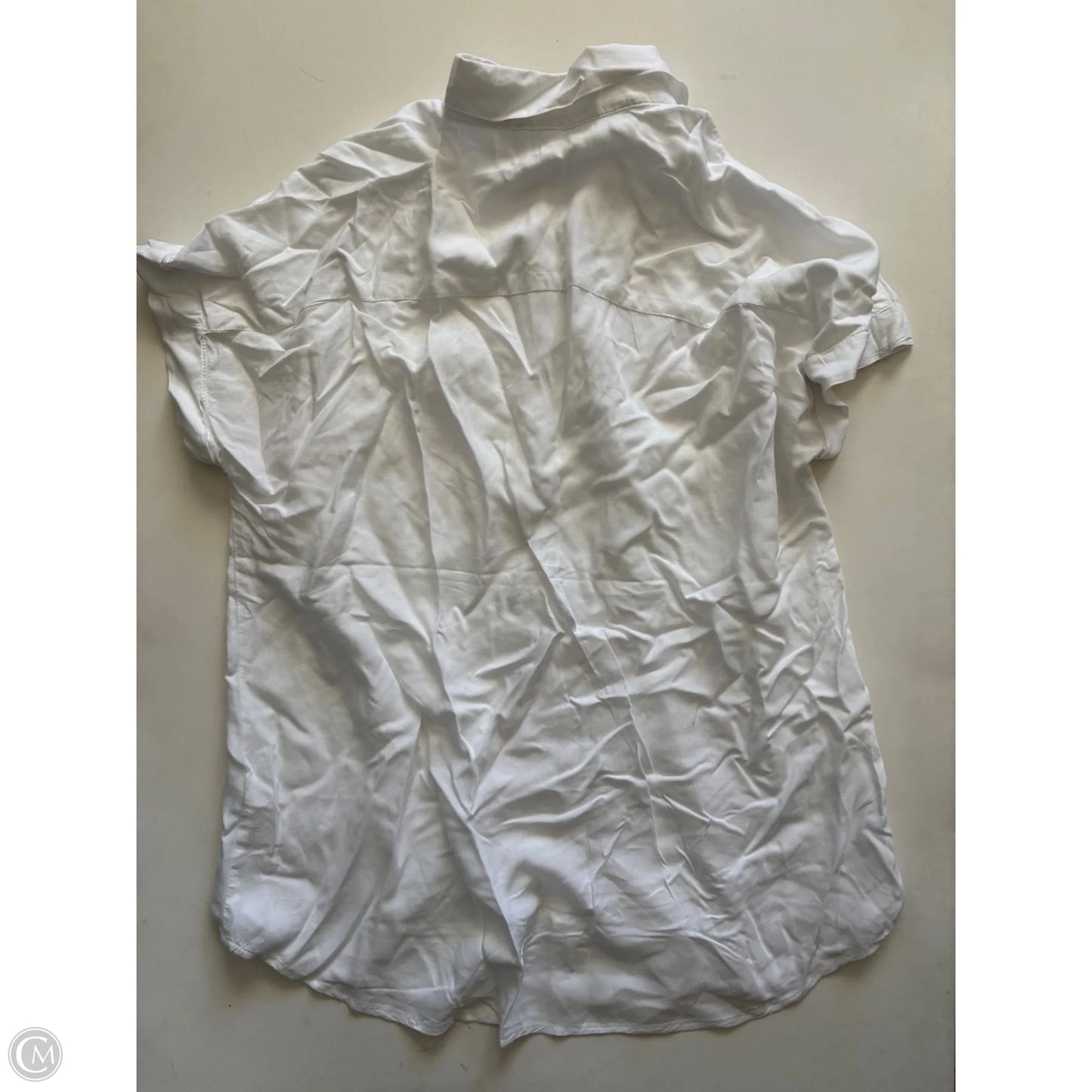 Top Short Sleeve By Beachlunchlounge In White, Size: S