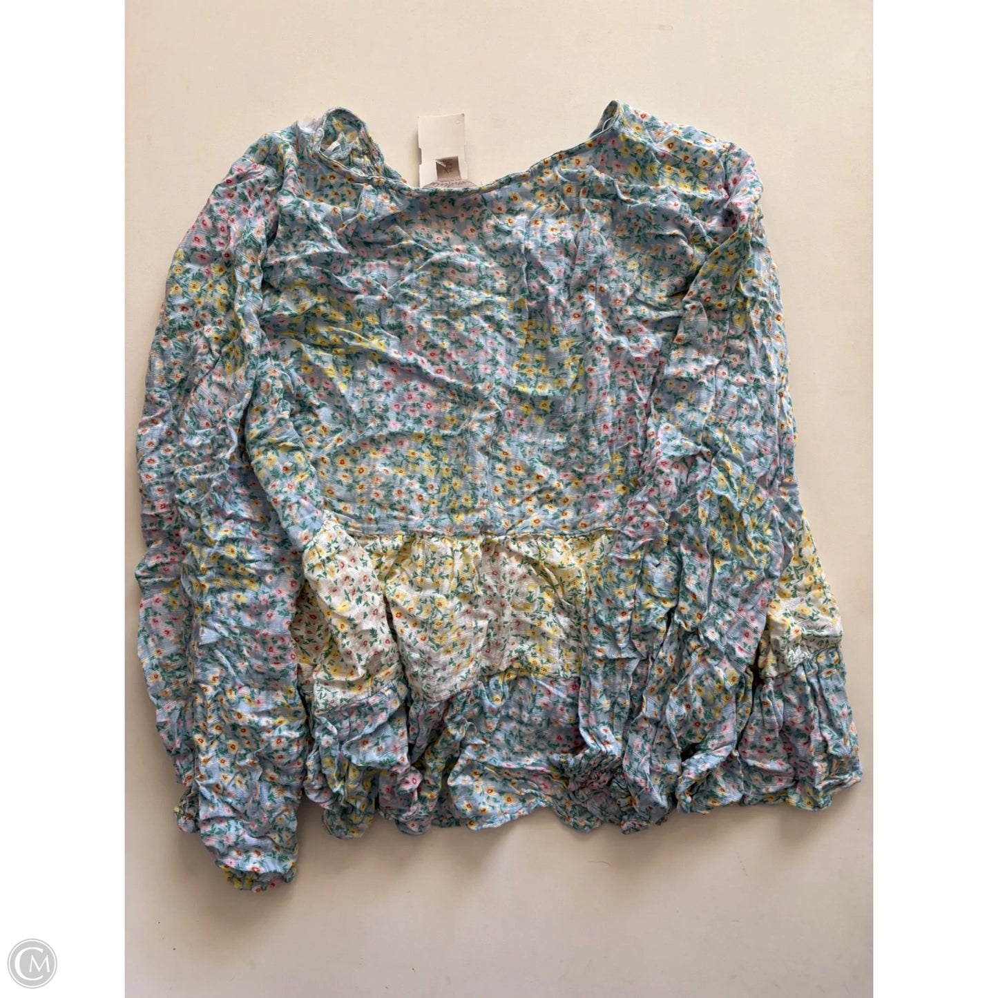 Top Long Sleeve By Wonderly In Floral Print, Size: 2x