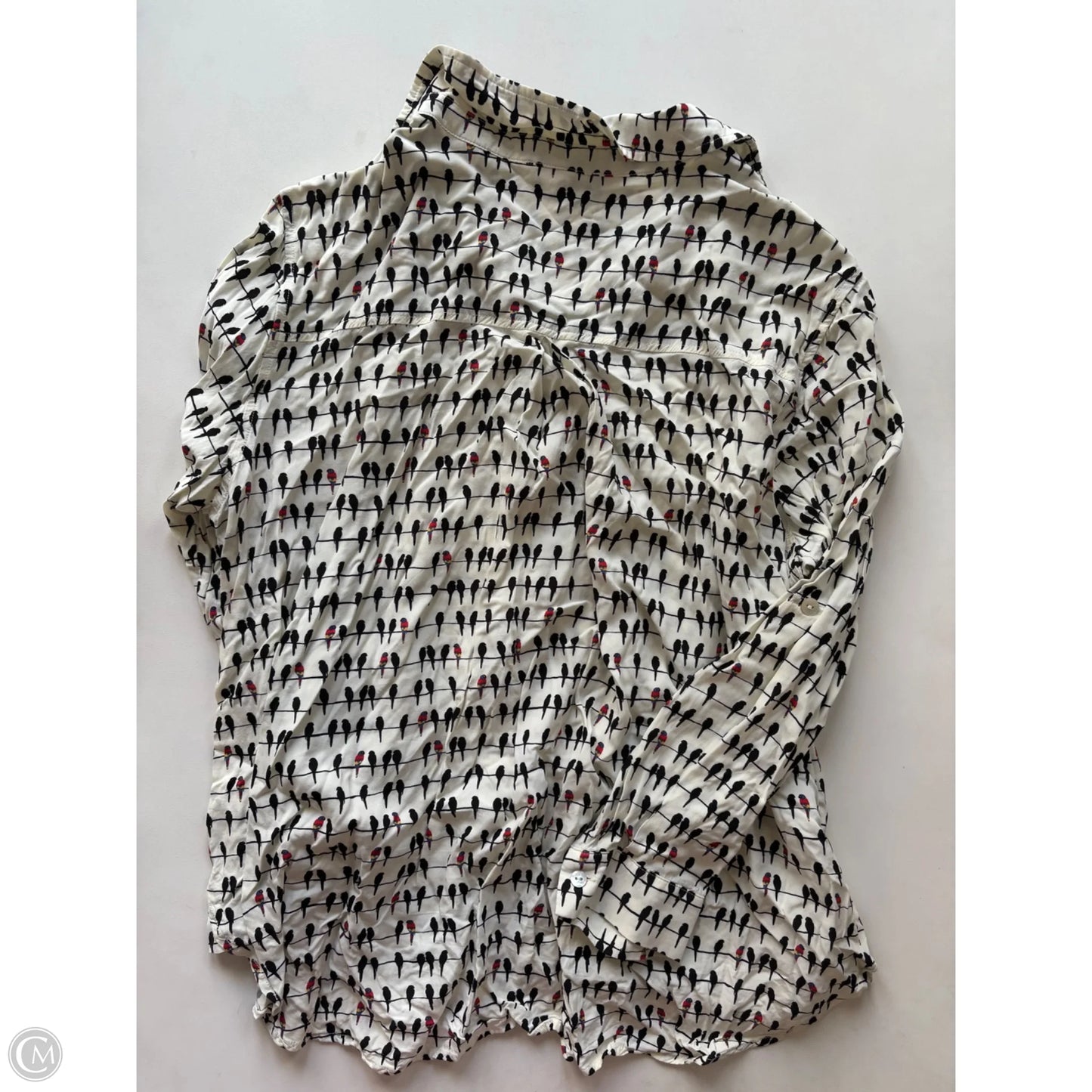 Blouse Long Sleeve By june and delancy In White, Size: 1x