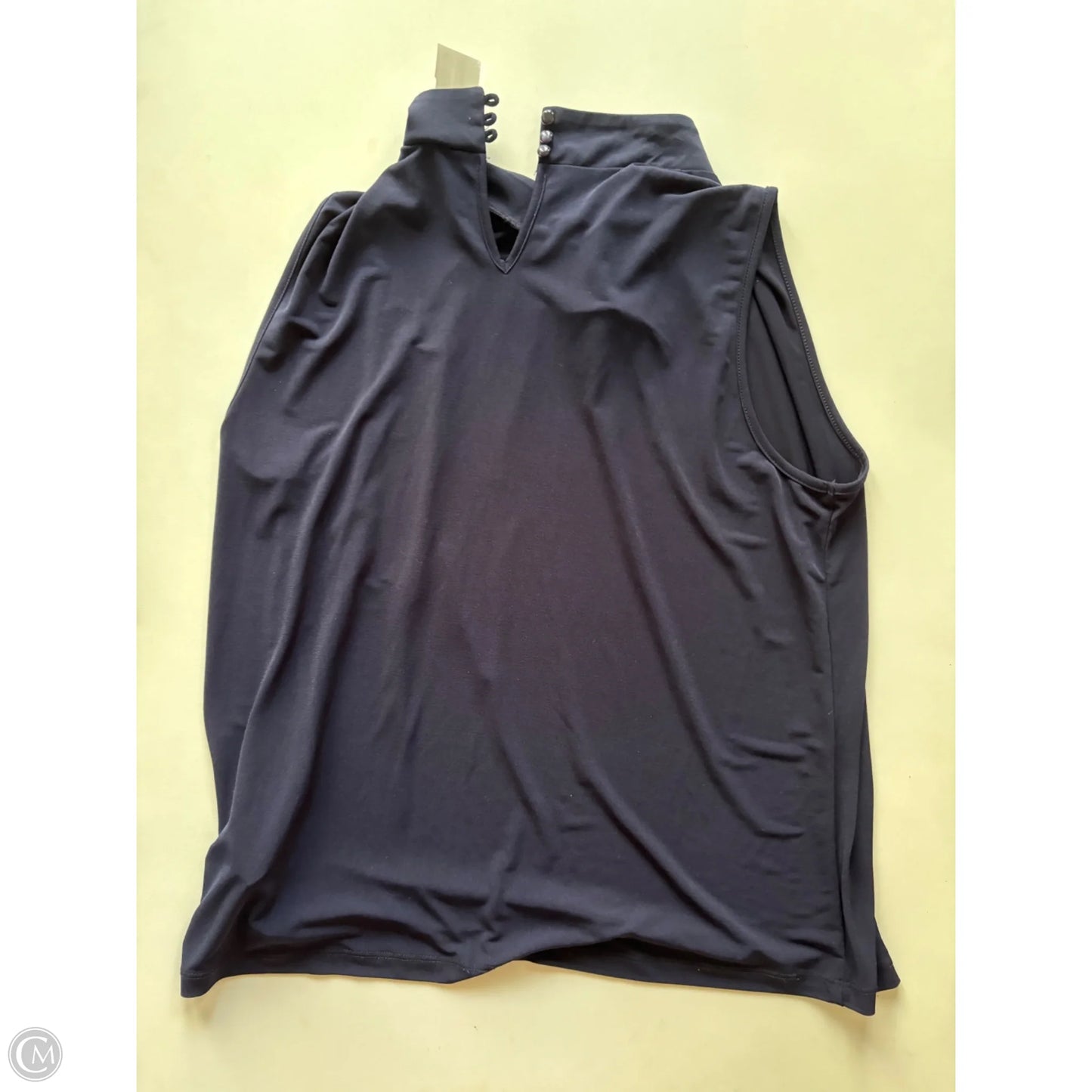 Blouse Sleeveless By Anne Klein In Blue, Size: Xlp