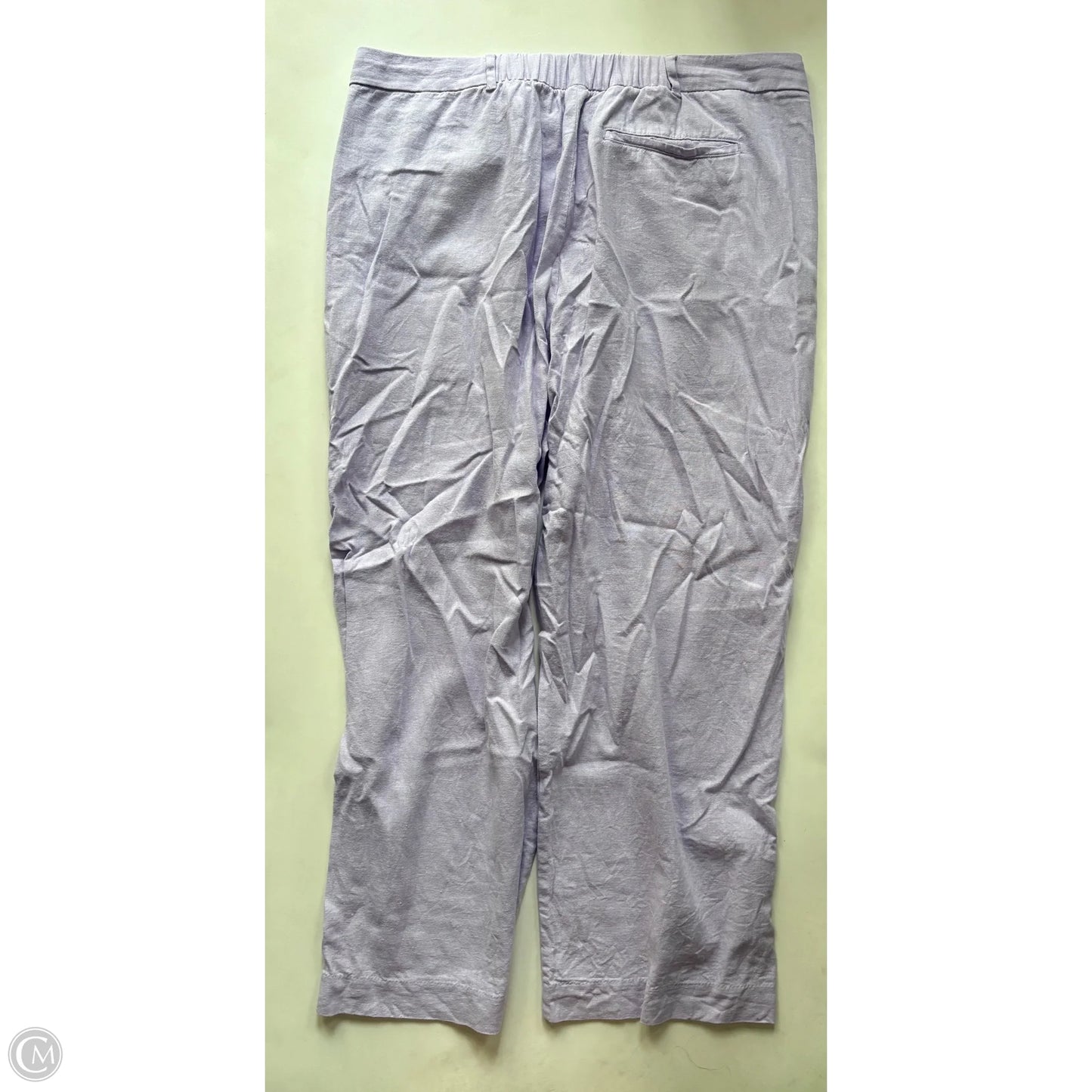 Pants Cargo & Utility By Old Navy In Purple, Size: Xl