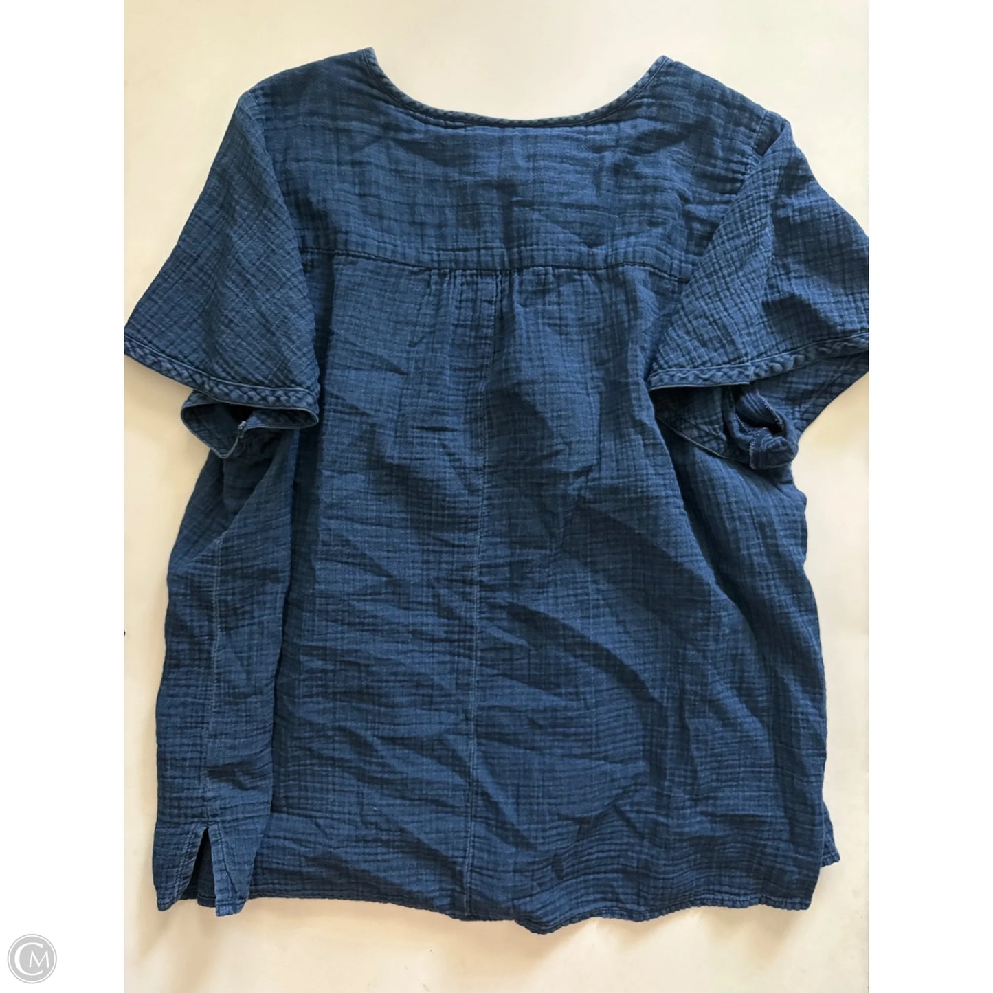 Top Short Sleeve By Lane Bryant In Blue, Size: 1x