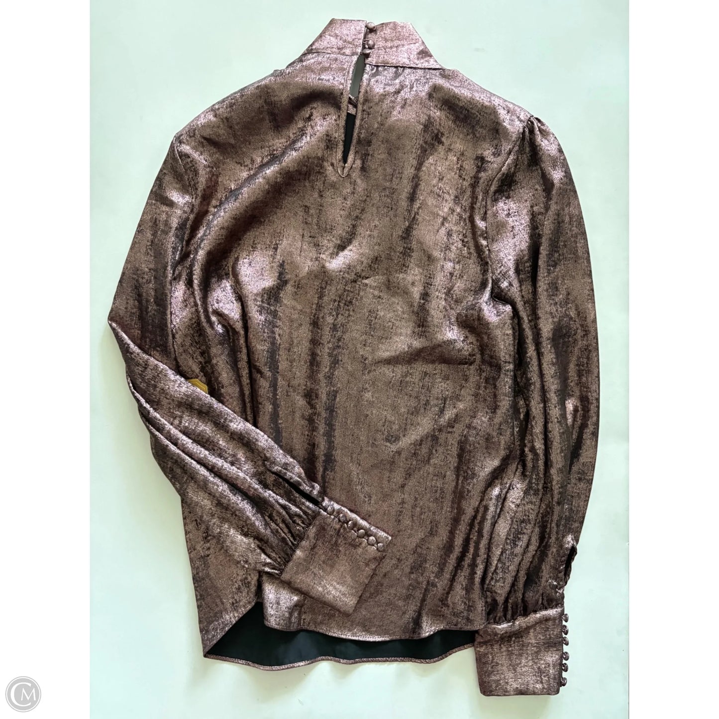 Top Long Sleeve By Ryegrass In Bronze, Size: L