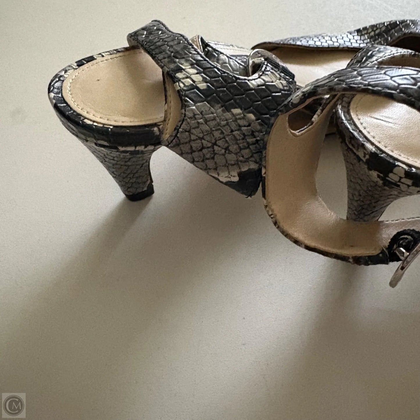 Shoes Heels Kitten By Nine West In Animal Print, Size: 8