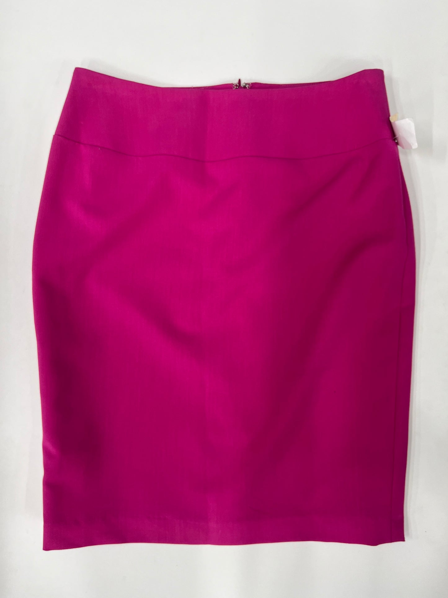 Skirt By Ellen Tracy Size: 8