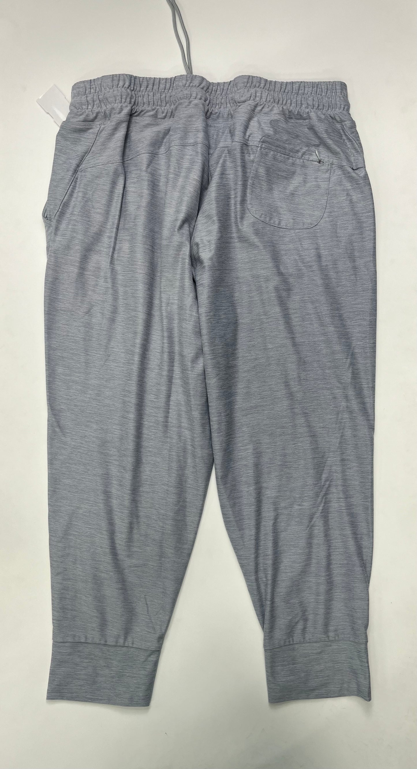 Athletic Pants By North Face  Size: 2x