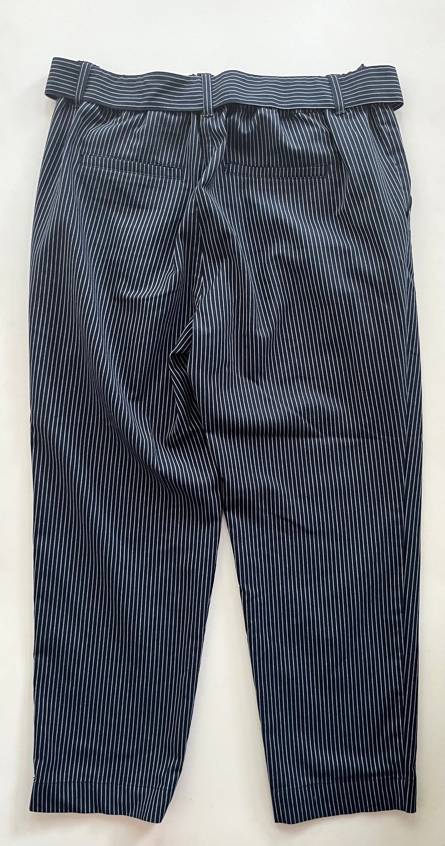 Pants Ankle By Loft In Striped, Size: 12