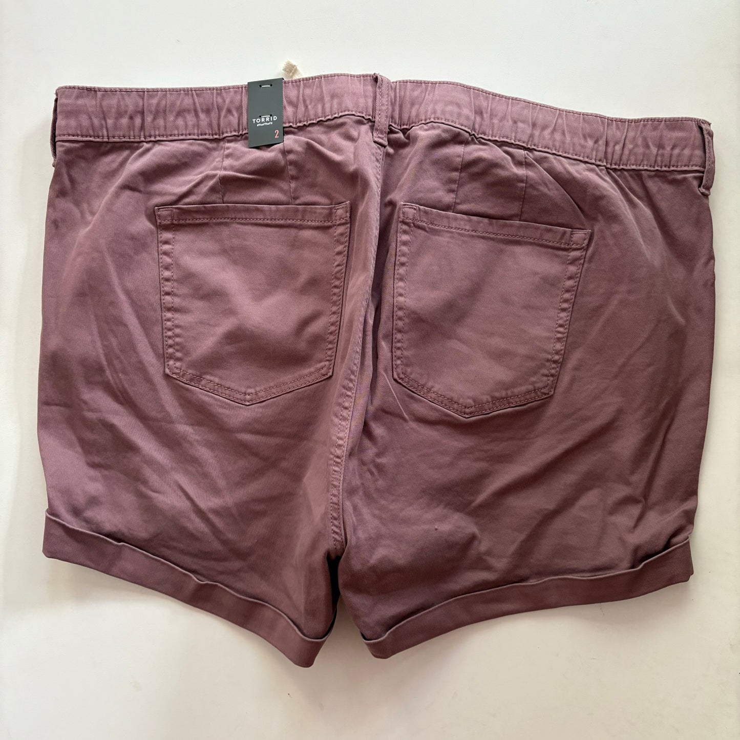 Shorts By Torrid In Purple, Size: 2x