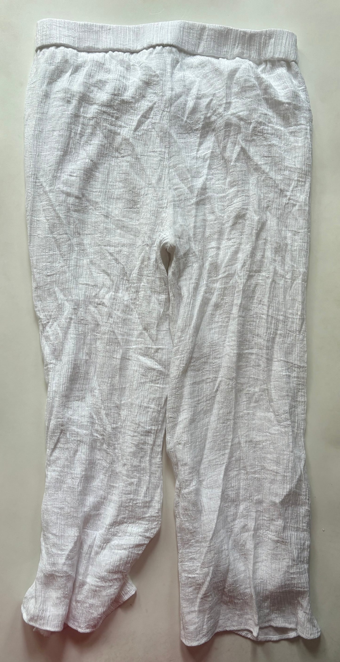 Pants Cargo & Utility By Wonderly In White, Size: 20