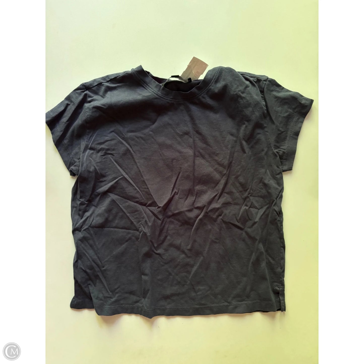 Top Short Sleeve By Loft In Blue, Size: Xs
