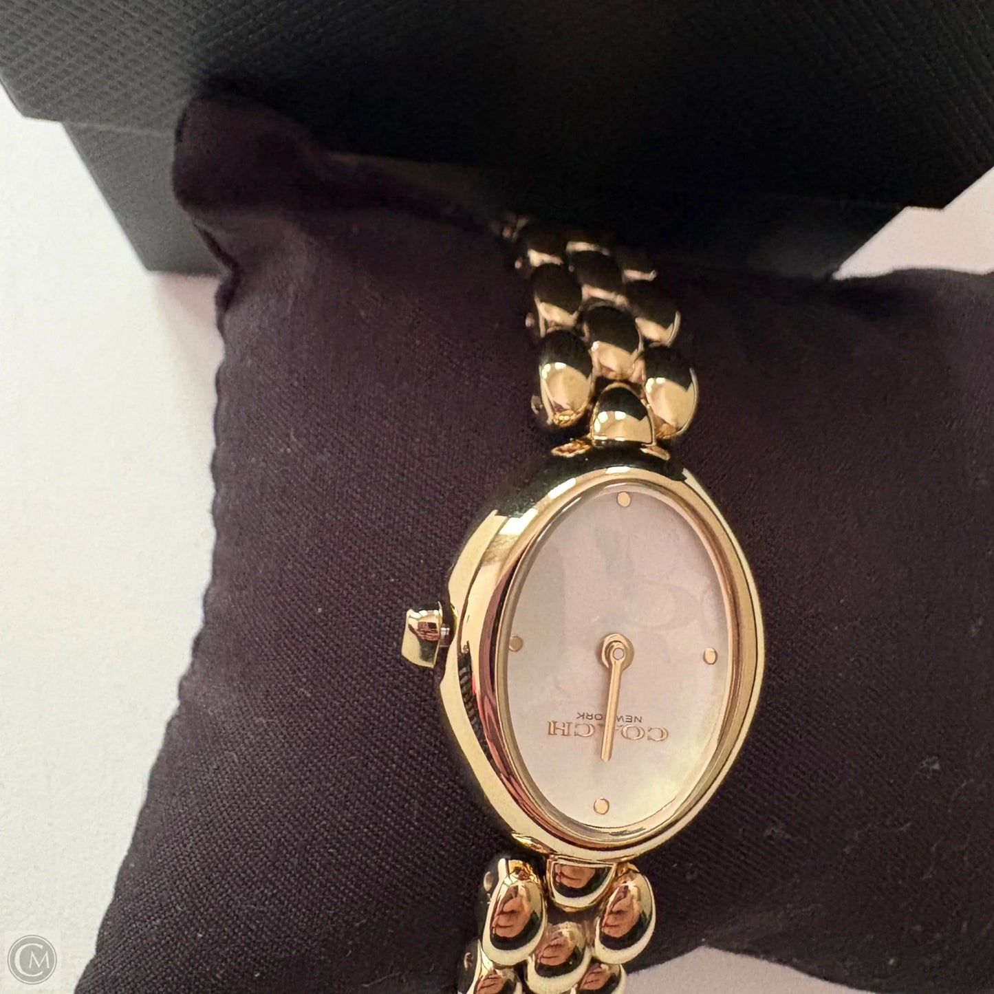 Watch Designer By Coach