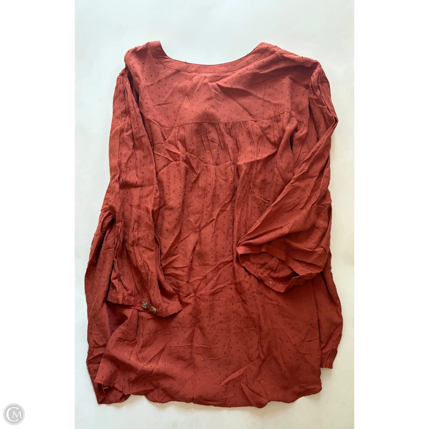 Top Long Sleeve By Torrid In Brown, Size: 3x