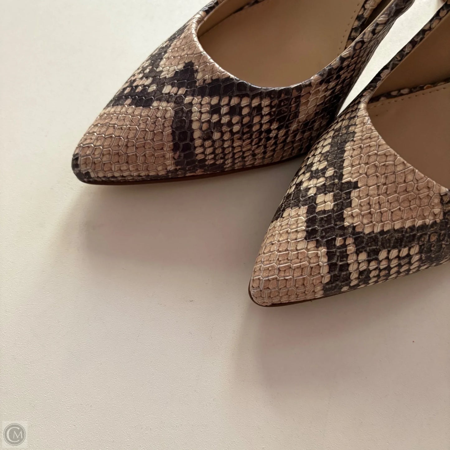 Shoes Heels Kitten By Vince Camuto In Animal Print, Size: 5.5