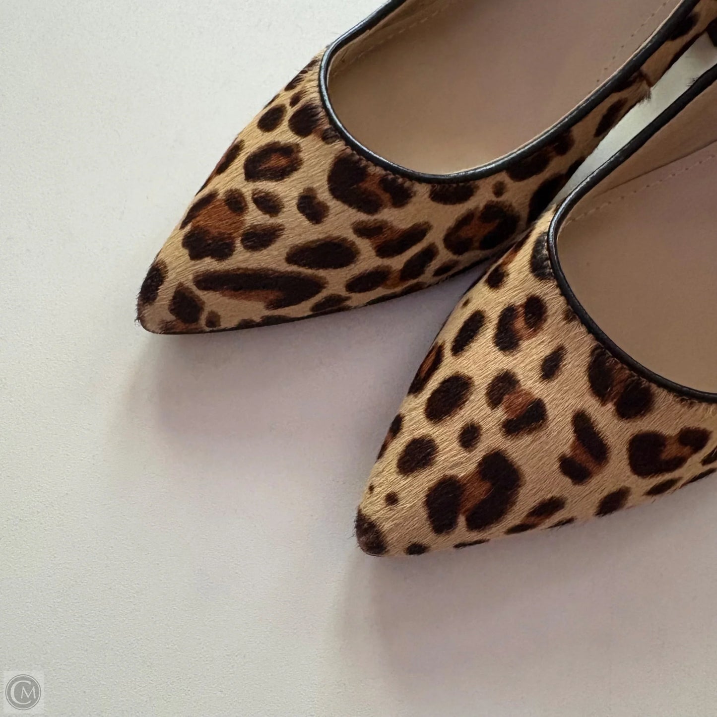 Shoes Heels Block By Marc Fisher In Animal Print, Size: 7.5