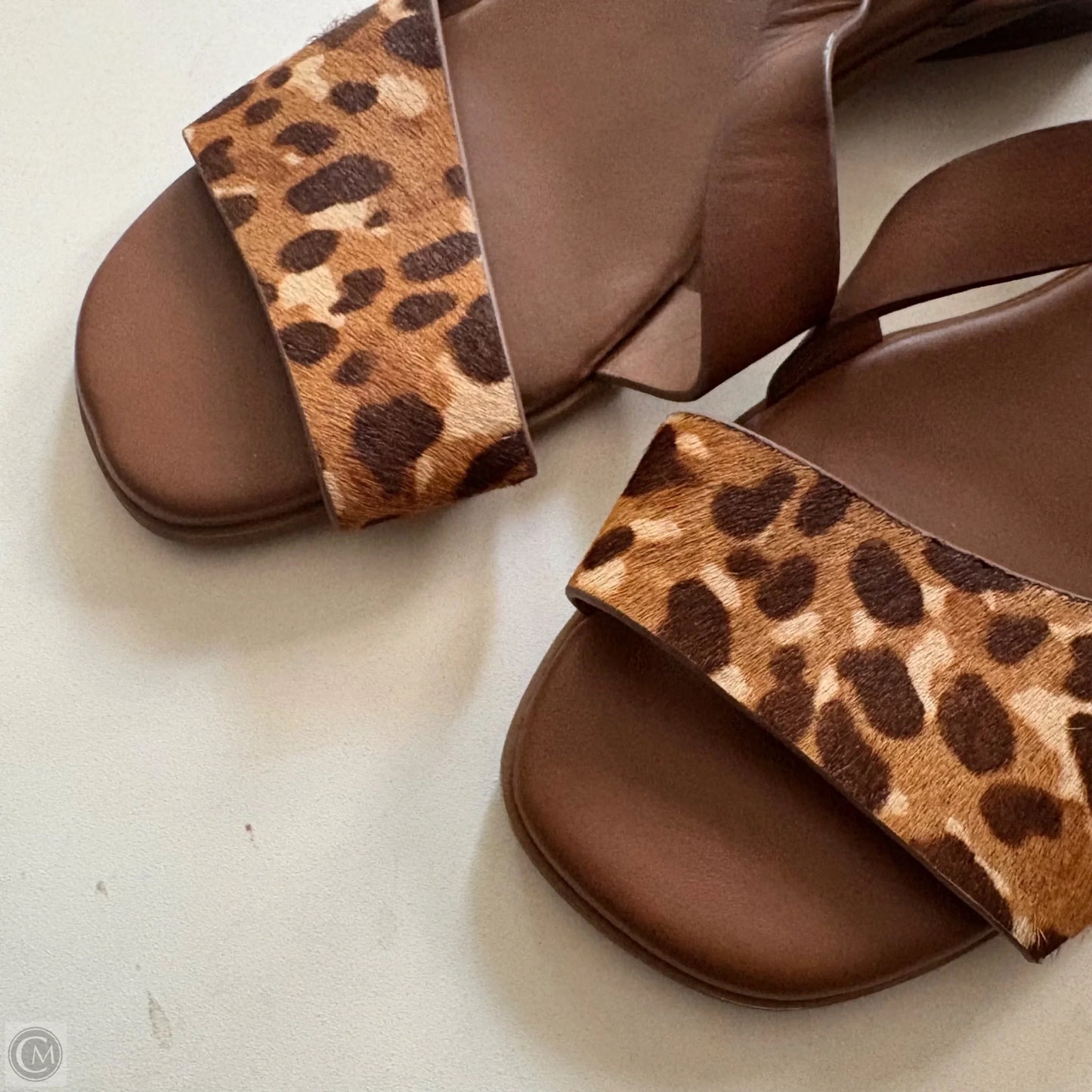 Sandals Flats By Alex Marie In Animal Print, Size: 9