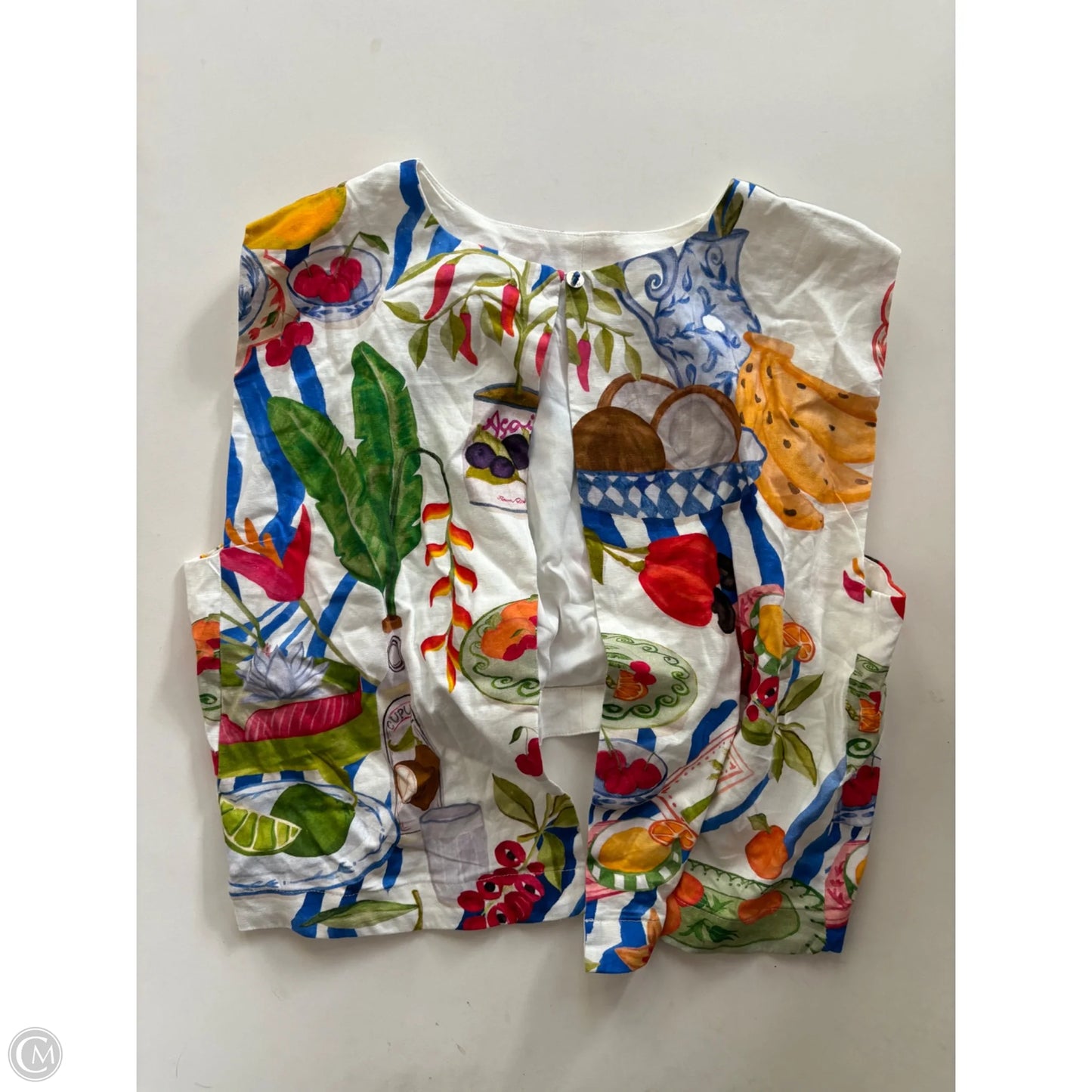 Top Sleeveless By Farm Rio In Multi-colored, Size: L