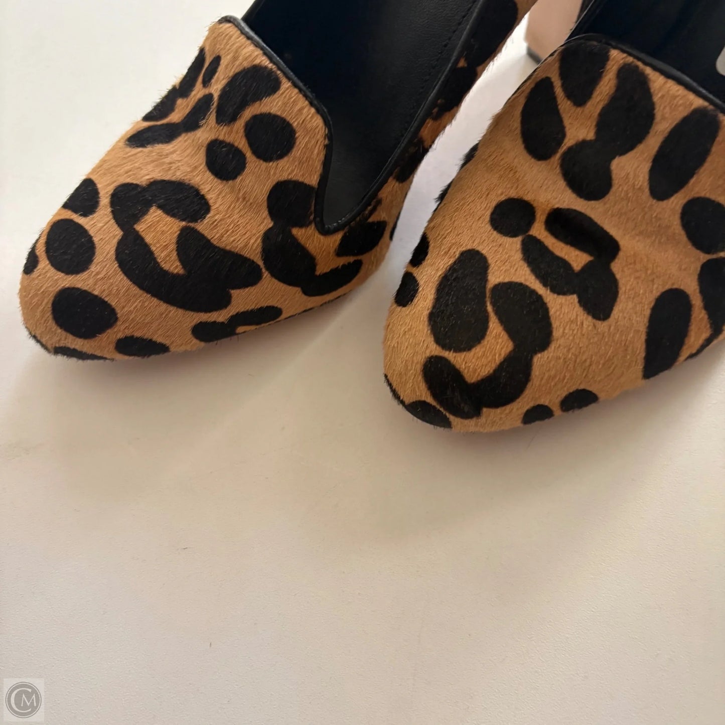 Shoes Heels Kitten By Via Spiga In Animal Print, Size: 7
