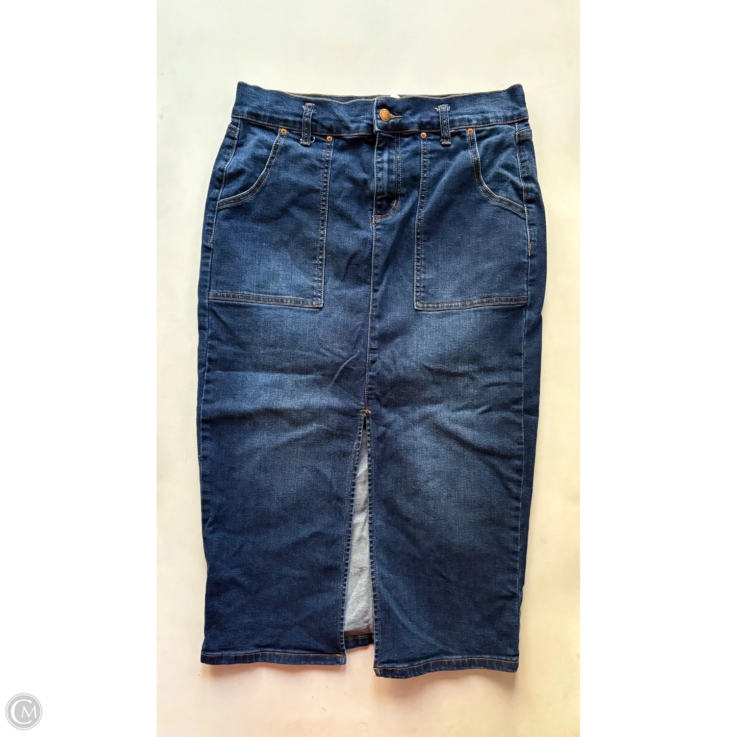 Skirt Maxi By Divine Rights In Blue, Size: 12