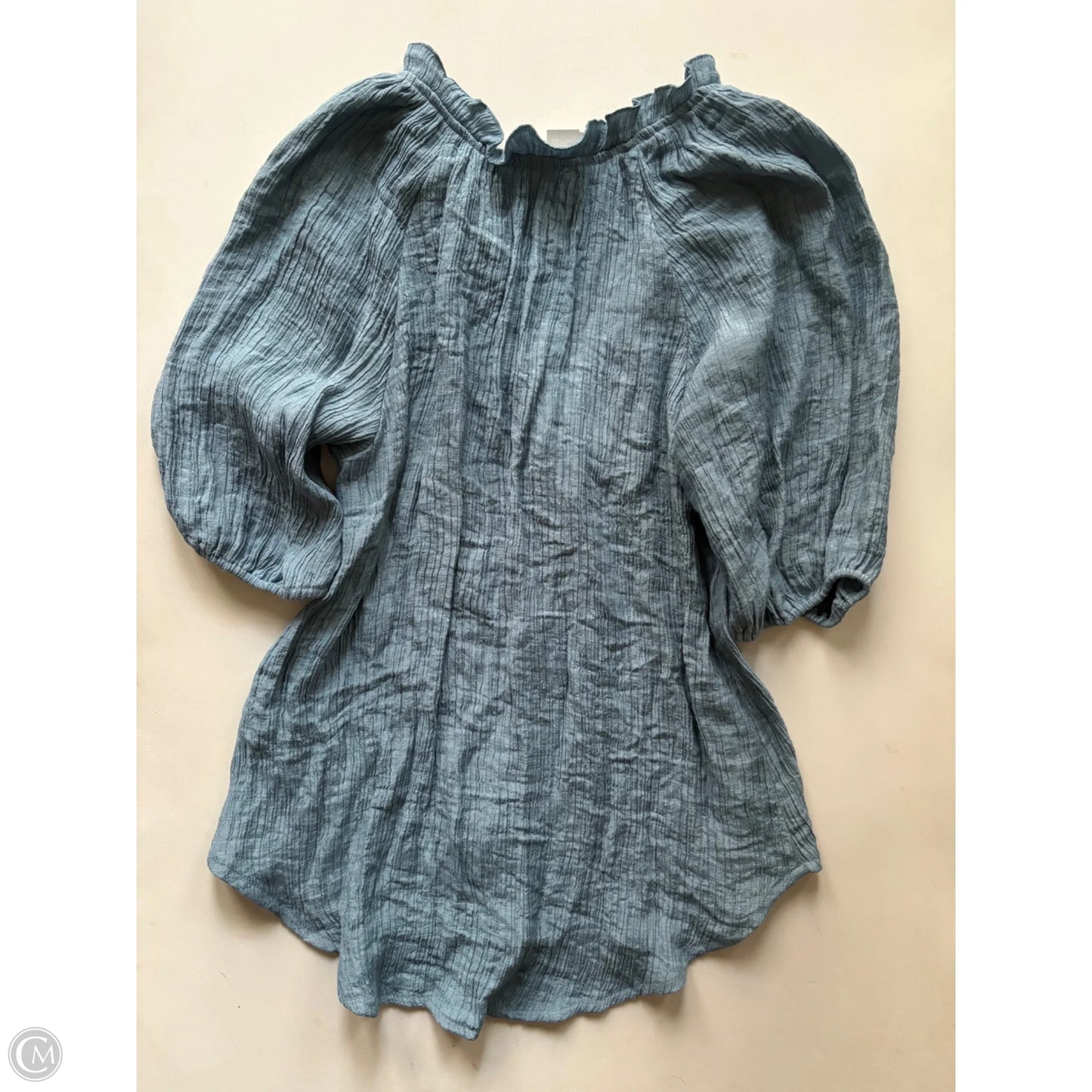 Top Short Sleeve By Blu Pepper In Blue, Size: S
