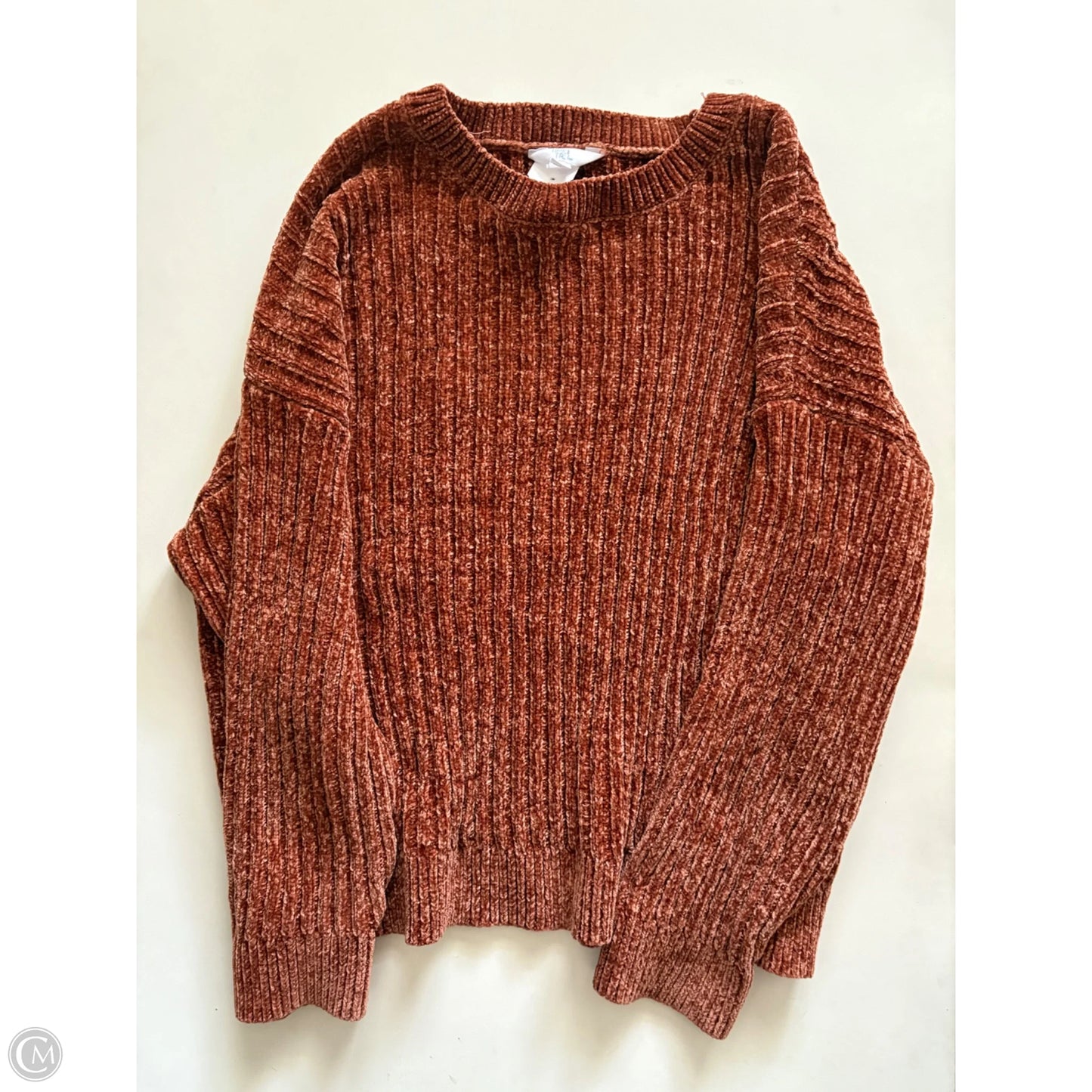 Sweater By Time And Tru In Brown, Size: L