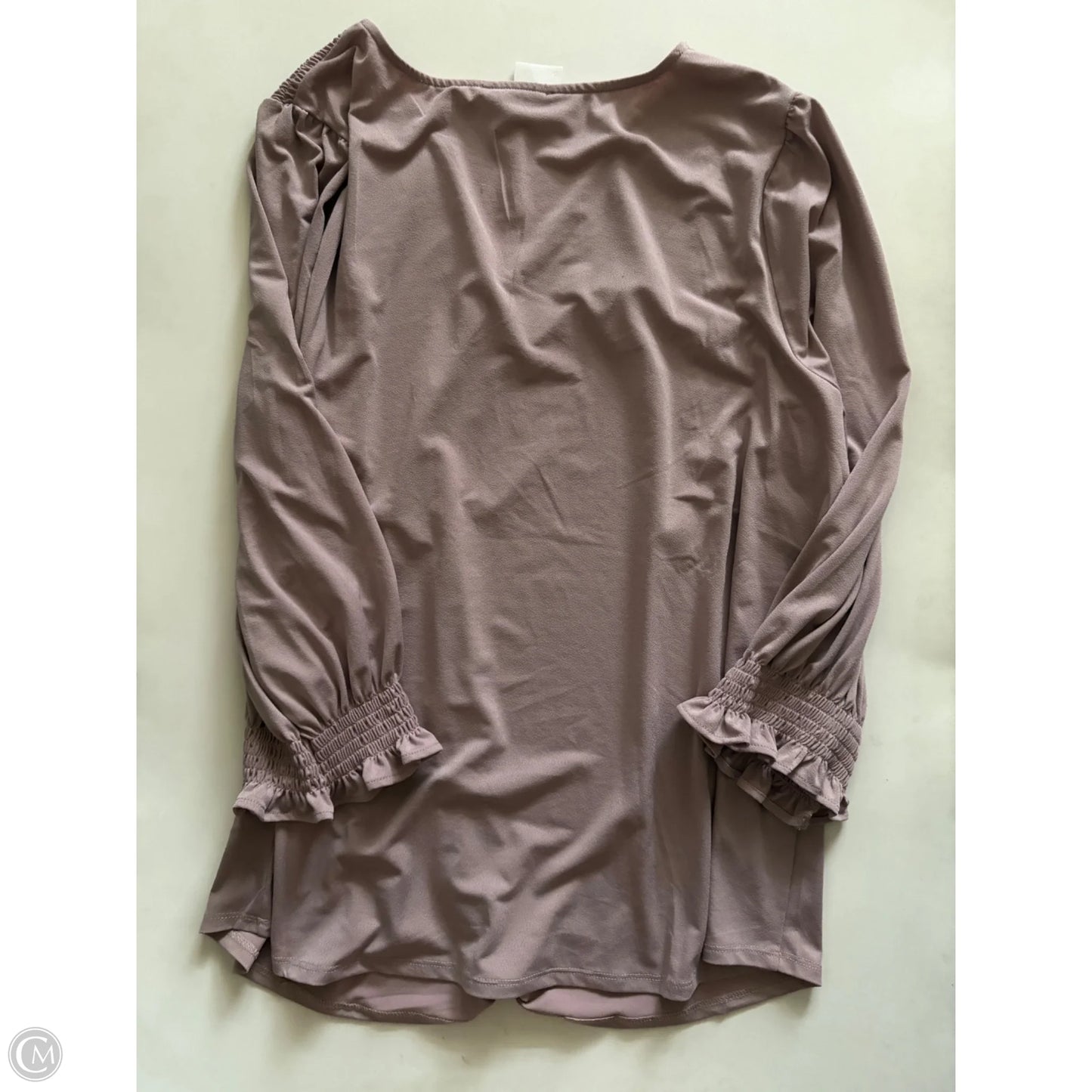 Blouse Long Sleeve By Adrianna Papell In Taupe, Size: 2x