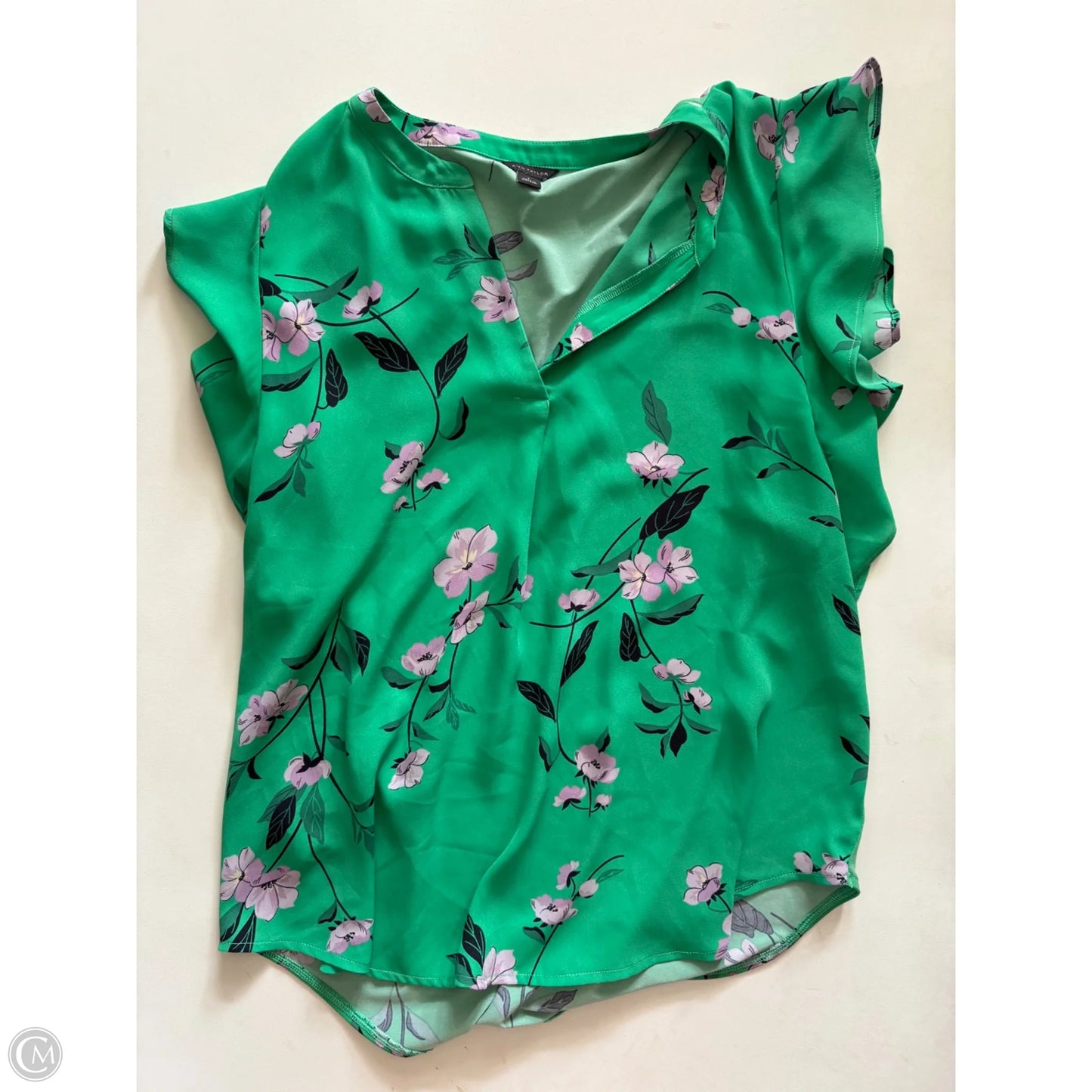Blouse Short Sleeve By Ann Taylor In Green, Size: S