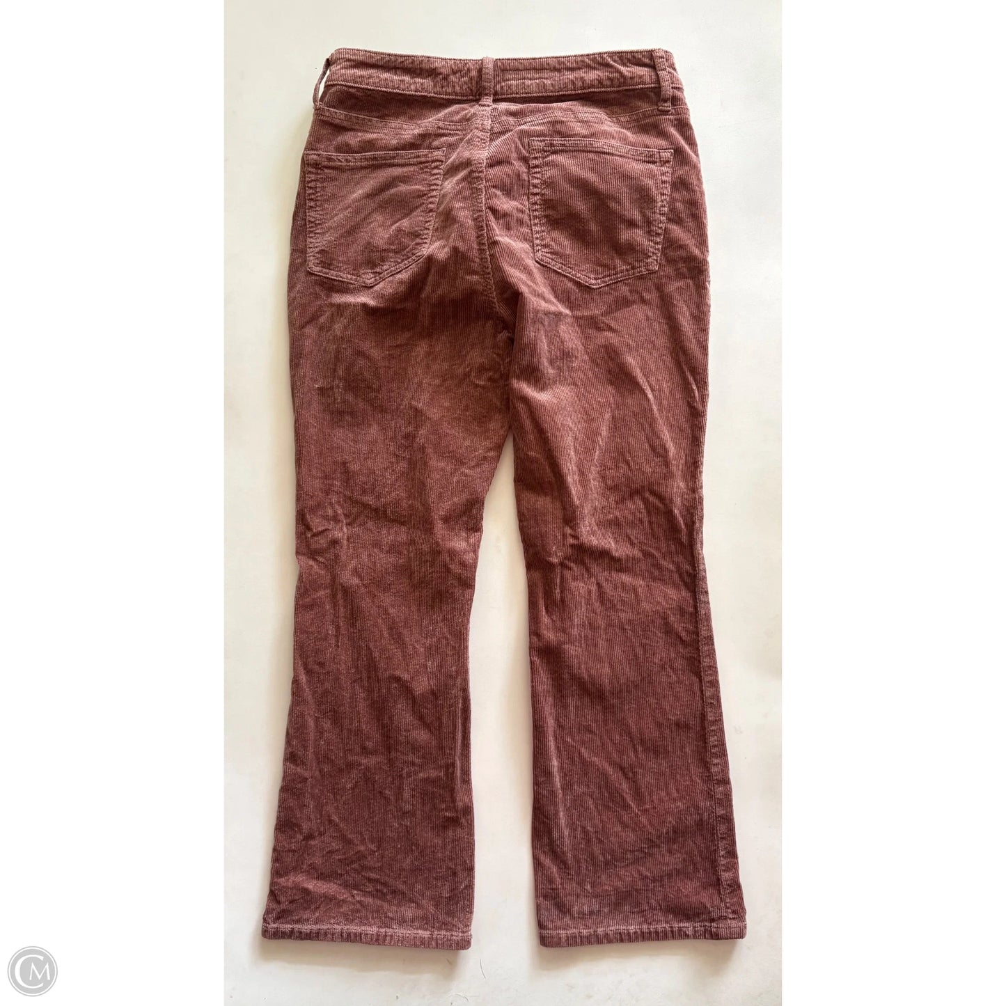 Pants Corduroy By Pilcro In Brown, Size: 8