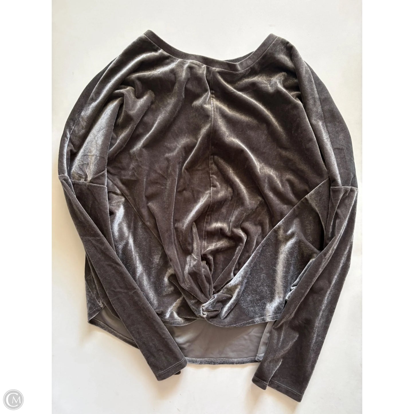 Top Long Sleeve By Ellen Tracy In Grey, Size: Xl