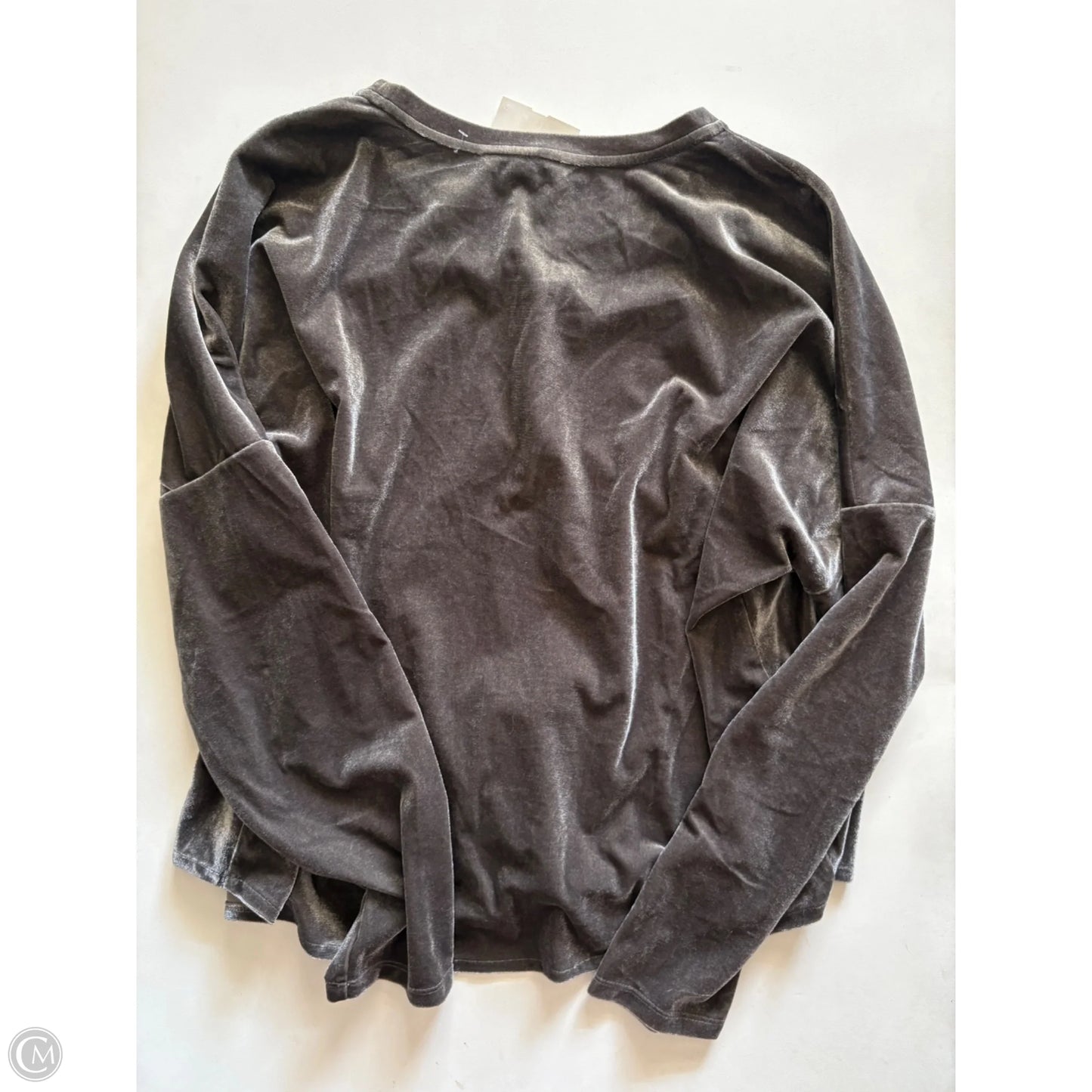 Top Long Sleeve By Ellen Tracy In Grey, Size: Xl
