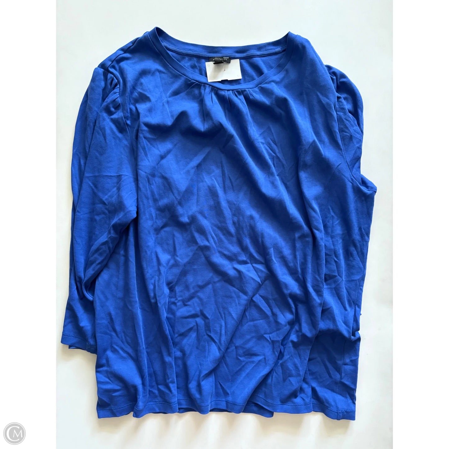 Top Long Sleeve By Ann Taylor In Blue, Size: 2x