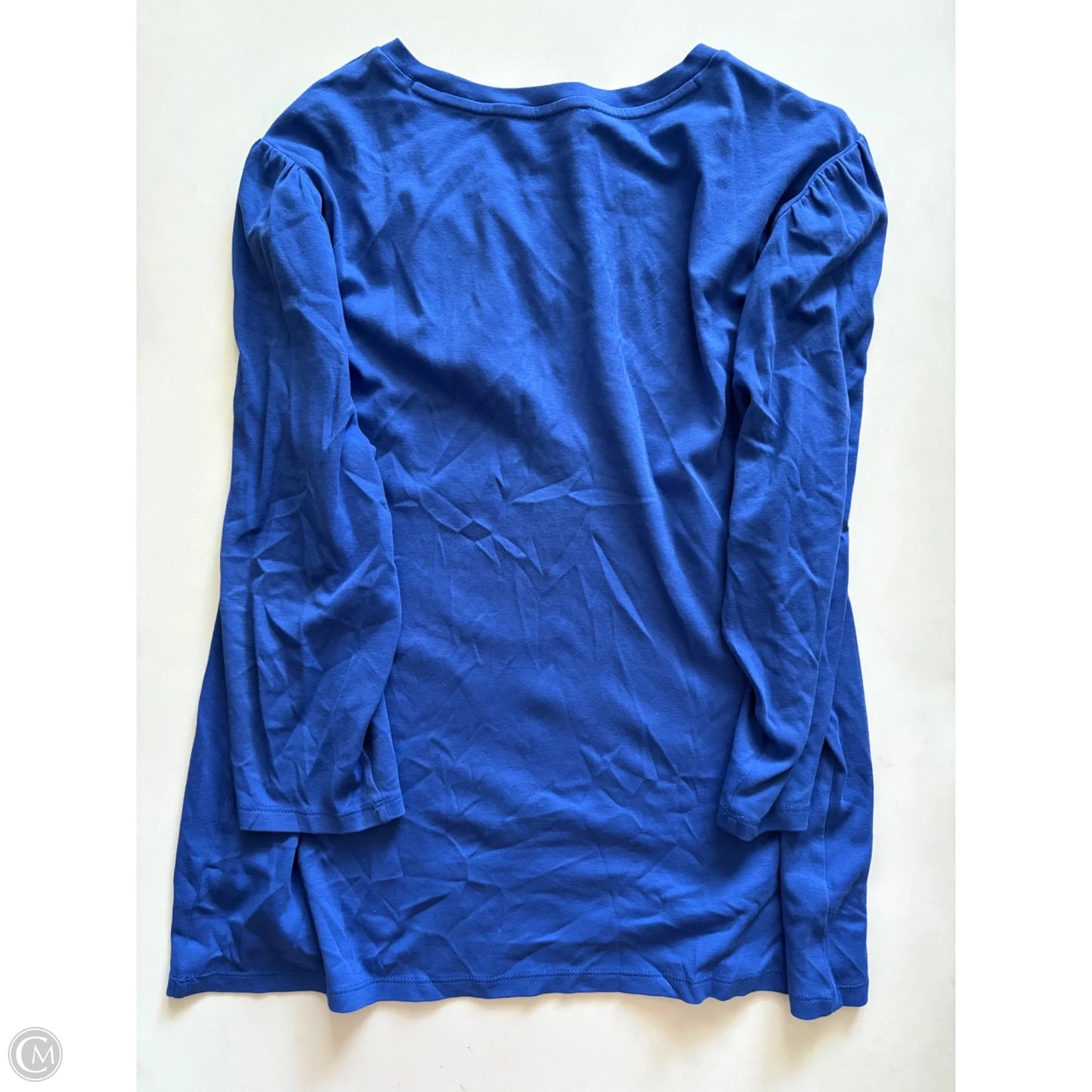 Top Long Sleeve By Ann Taylor In Blue, Size: 2x