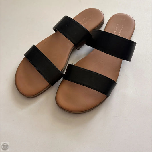 Sandals Flip Flops By Lc Lauren Conrad In Black, Size: 10
