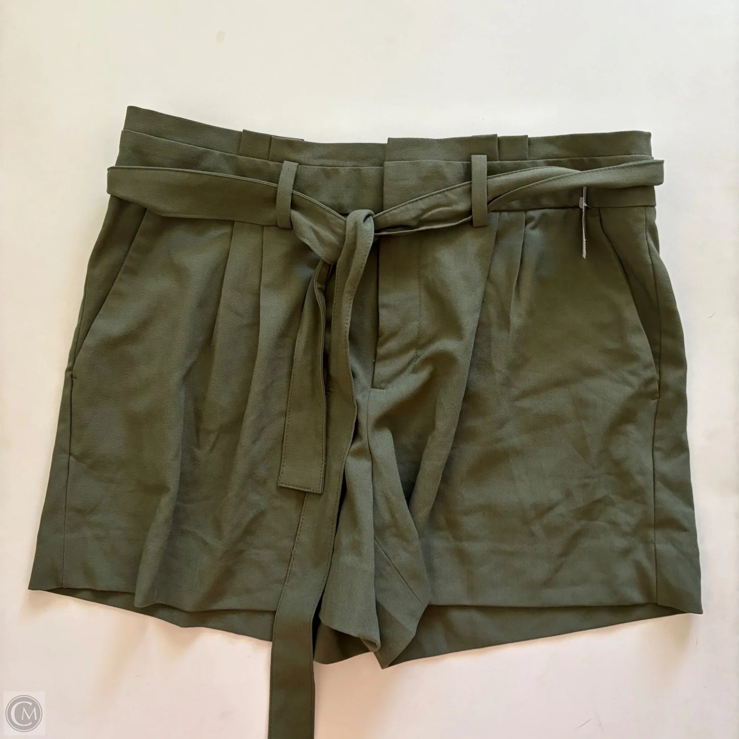 Shorts By Banana Republic In Green, Size: 12