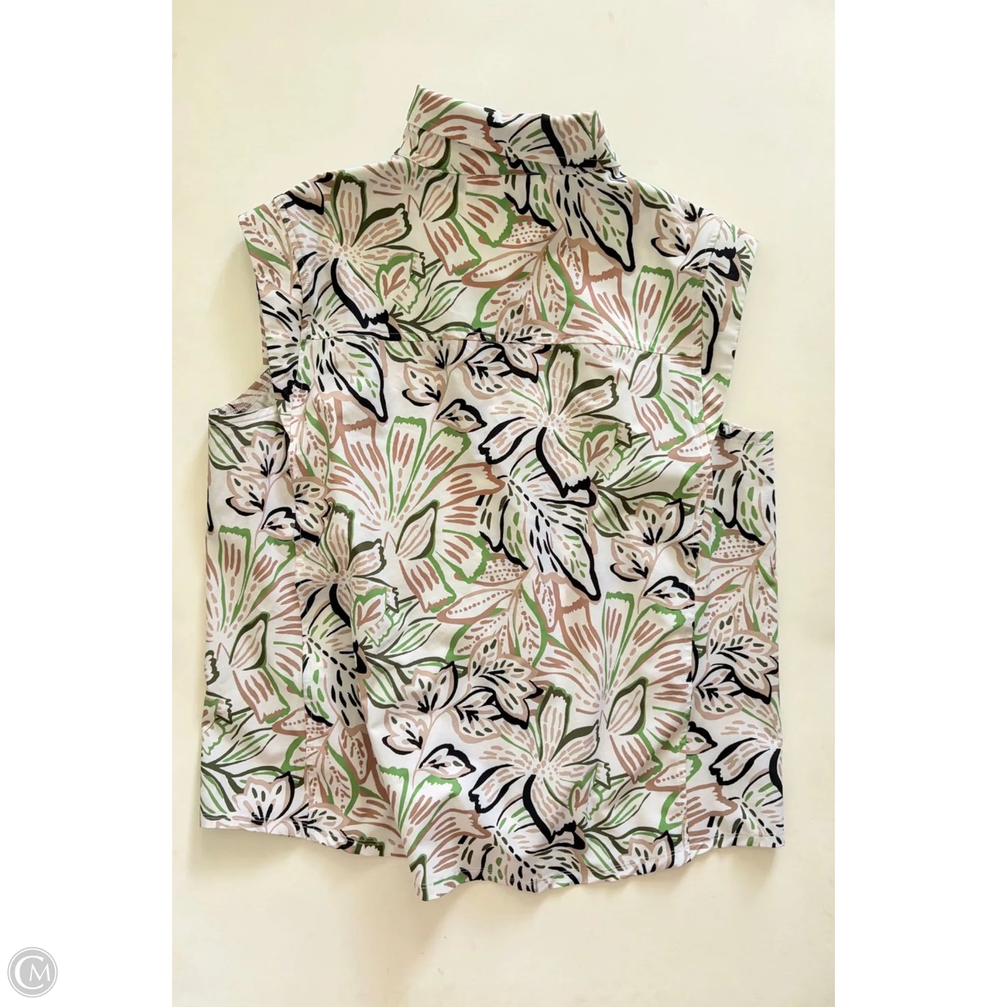 Top Short Sleeve By Chicos In Green, Size: 14