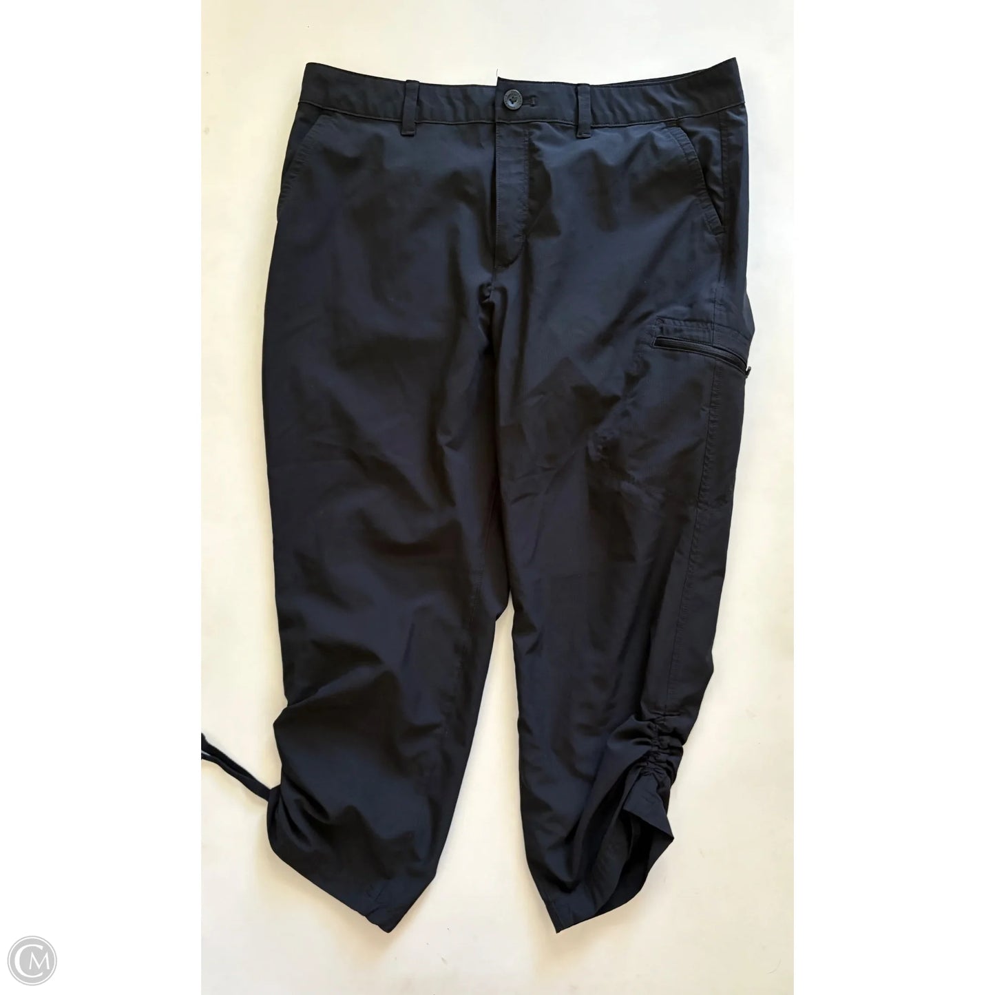 Athletic Pants By Eddie Bauer In Black, Size: 12