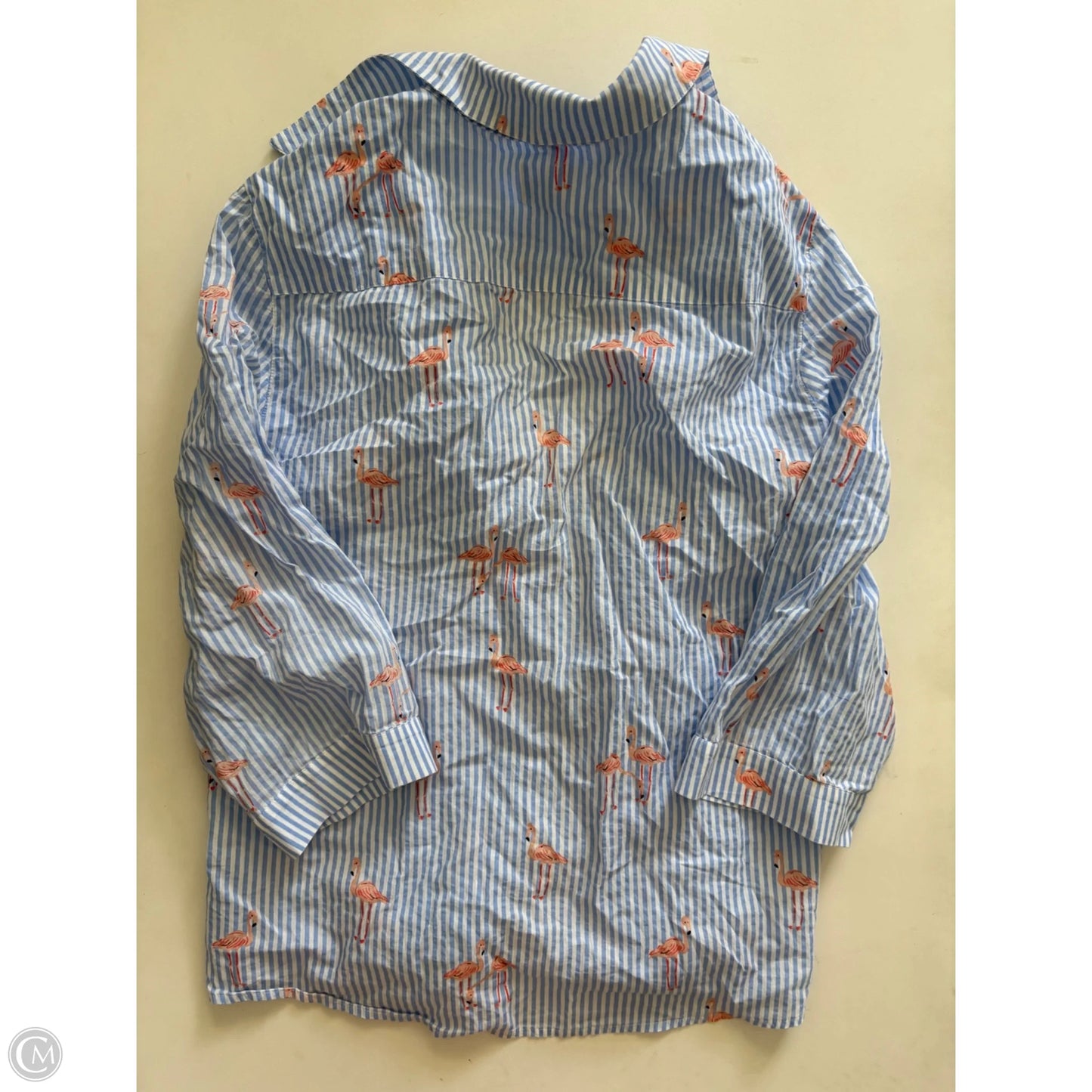 Top Long Sleeve By Chicos In Striped Pattern, Size: L