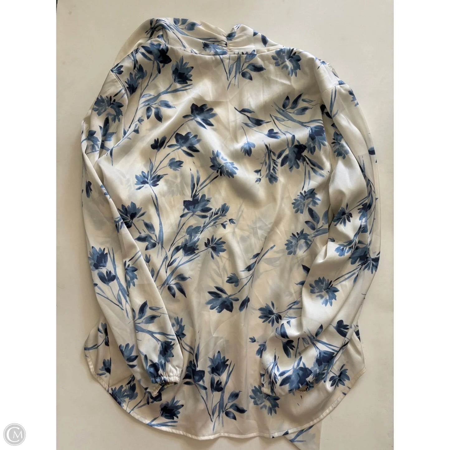 Blouse Long Sleeve By Limited In Blue, Size: 1x