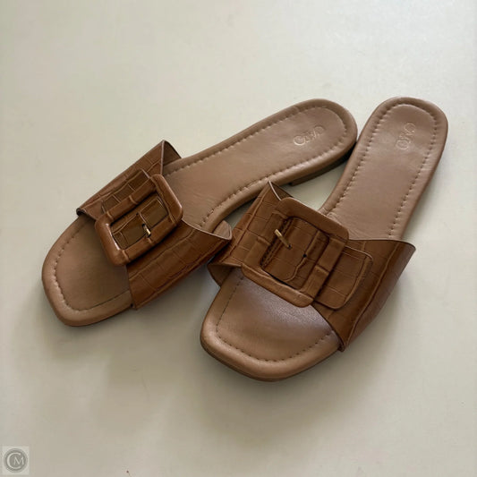 Sandals Flip Flops By Cato In Brown, Size: 10