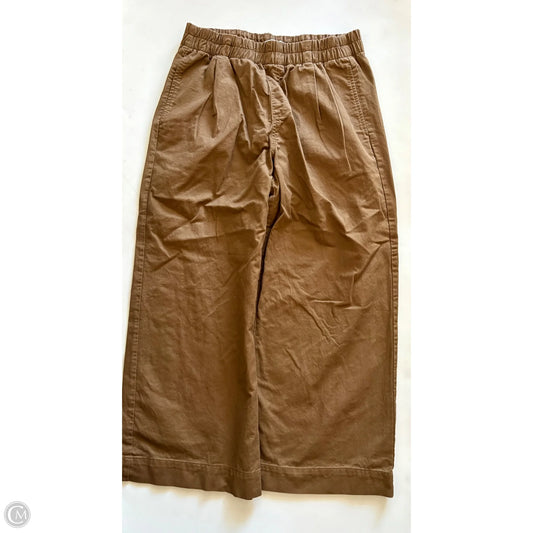 Pants Chinos & Khakis By Loft In Brown, Size: Mp