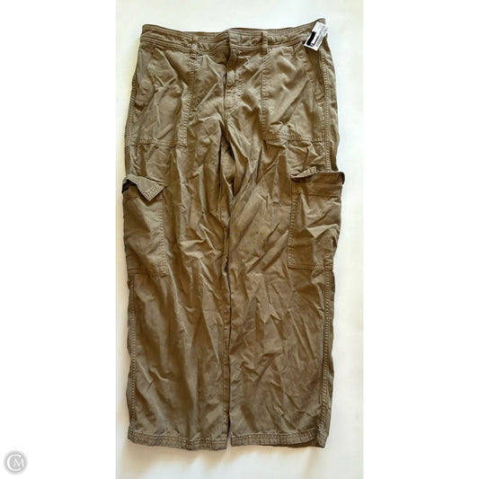 Pants Cargo & Utility By American Eagle In Brown, Size: 14
