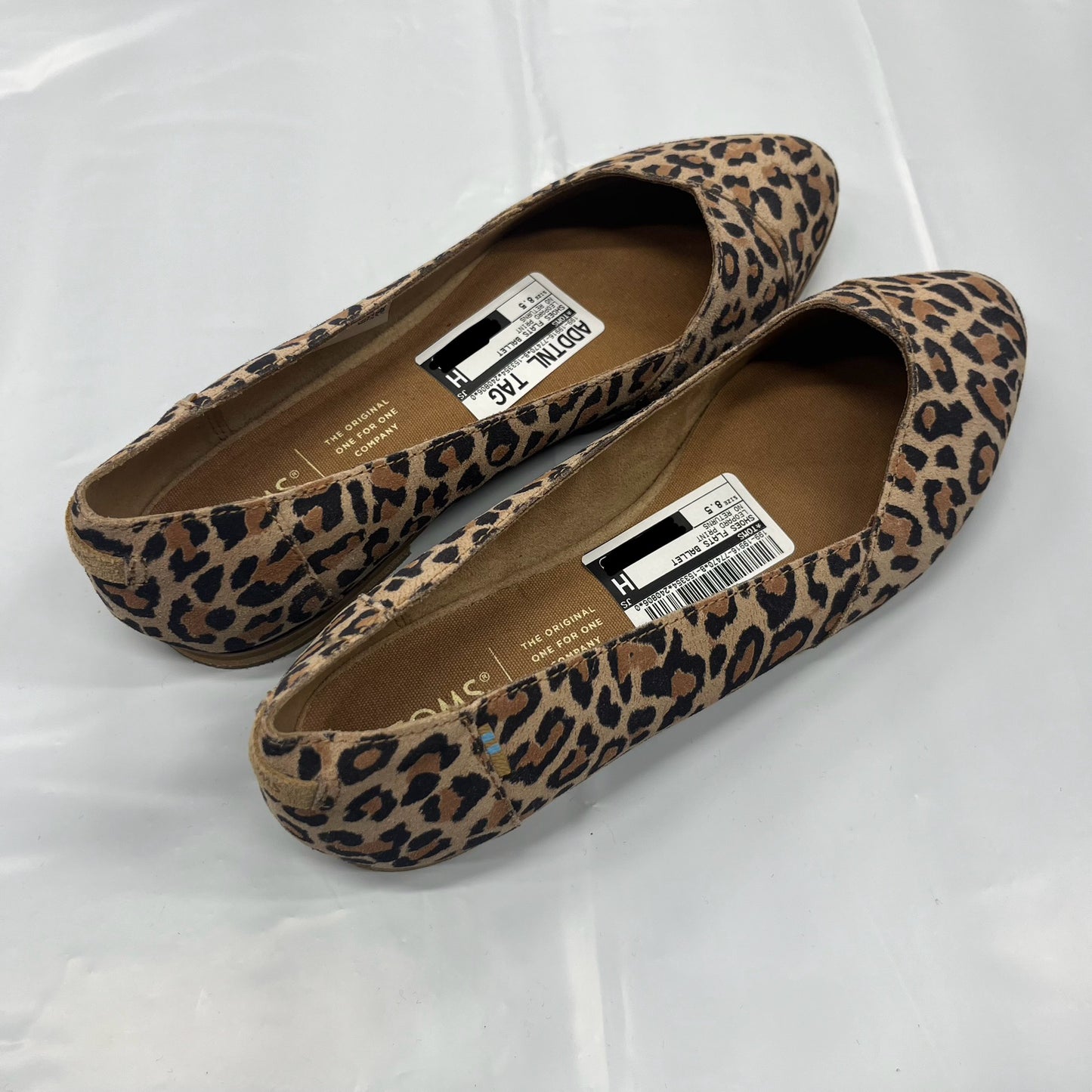 Shoes Flats Ballet By Toms In Leopard Print, Size: 8.5