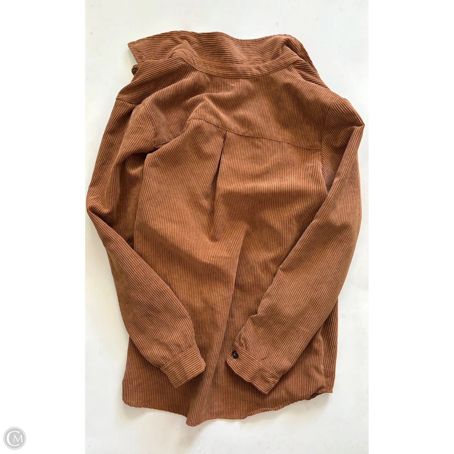 Top Long Sleeve By Altard State In Tan, Size: Xl