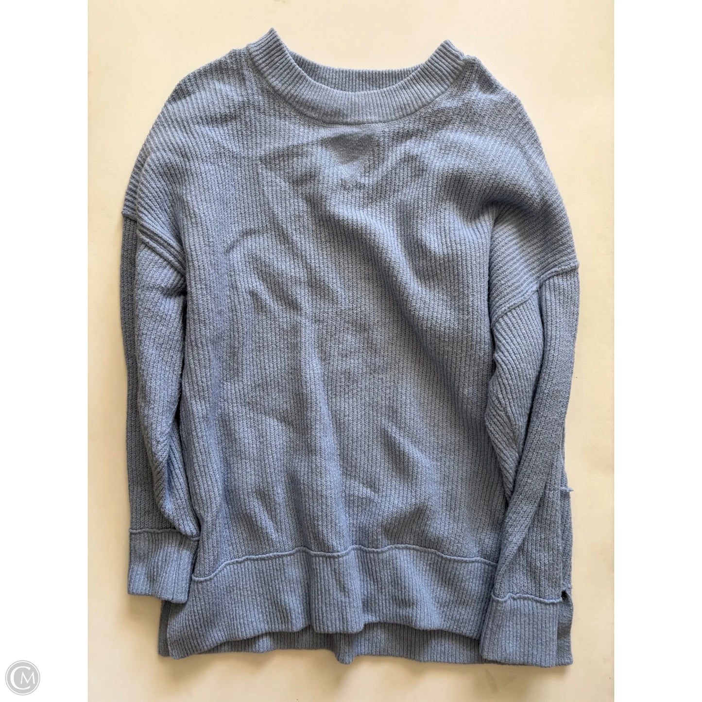 Sweatshirt Crewneck By Aerie In Blue, Size: S